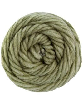 <span class="yarn-title">Landlust die Filzwolle</span> <span class="yarn-color">5015 Lindgrün Meliert</span>