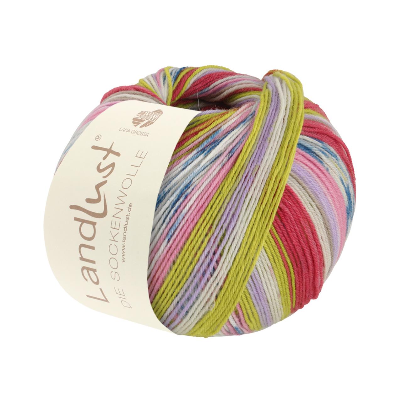 Landlust die Sockenwolle 311 Streifen/Jacquard