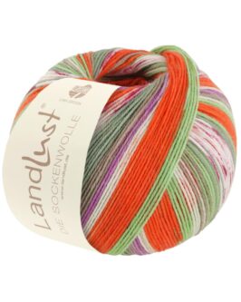<span class="yarn-title">Landlust die Sockenwolle</span> <span class="yarn-color">313 Streifen/<wbr>Jacquard</span>