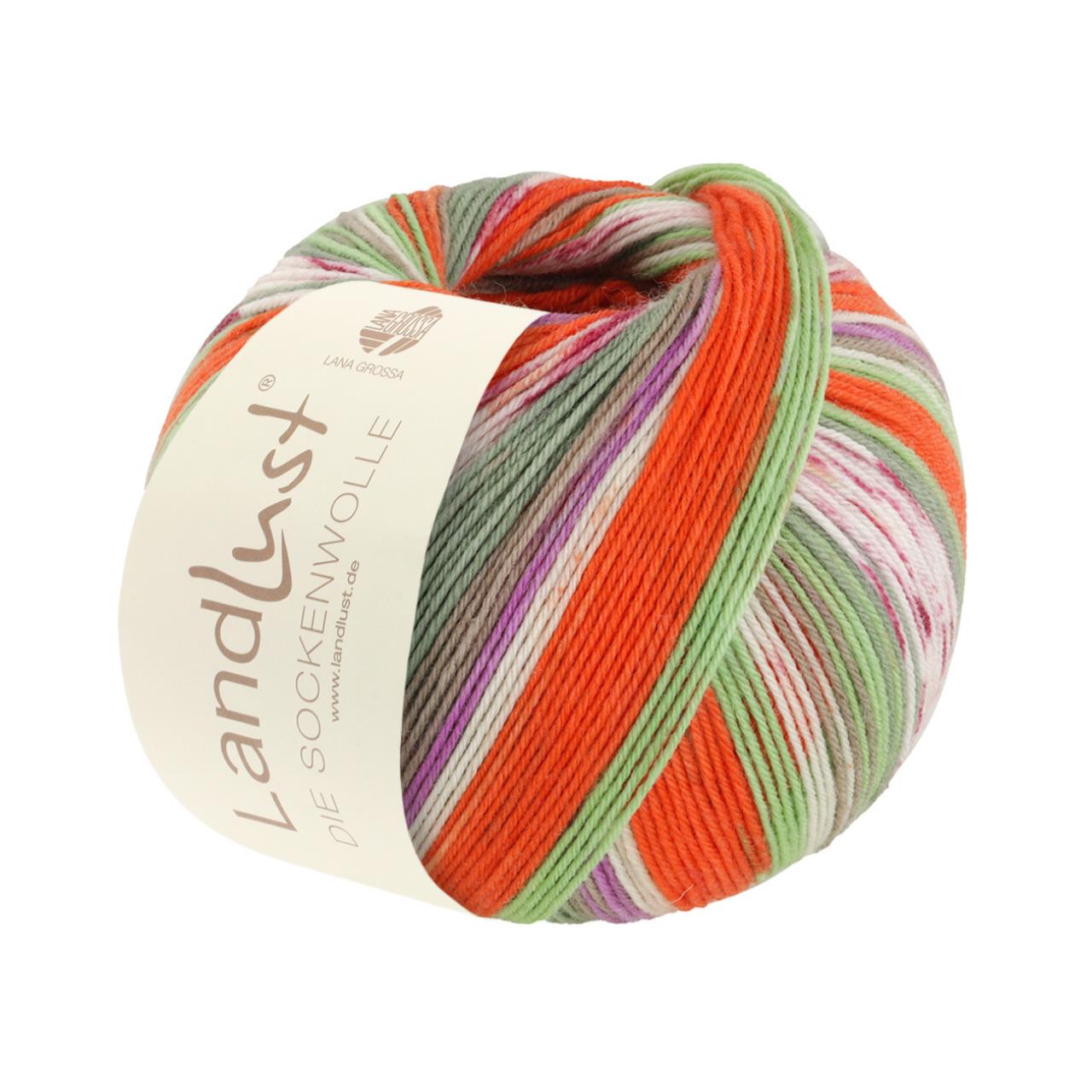 Landlust die Sockenwolle 313 Streifen/Jacquard