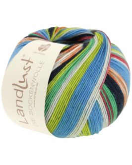 <span class="yarn-title">Landlust die Sockenwolle</span> <span class="yarn-color">314 Streifen/<wbr>Jacquard</span>