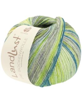 <span class="yarn-title">Landlust die Sockenwolle</span> <span class="yarn-color">413 Petrol/<wbr>Zart-/<wbr>Hellgrün/<wbr>Grün-/<wbr>Hellgrau/<wbr>Mint/<wbr>Oliv Gestreift/<wbr>Meliert</span>