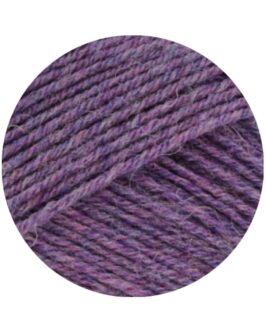 <span class="yarn-title">Landlust die Sockenwolle 50 Mélange</span> <span class="yarn-color">1601 Dunkelviolett Meliert</span>