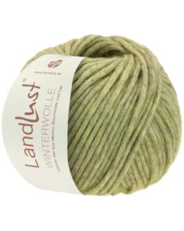 <span class="yarn-title">Landlust Winterwolle</span> <span class="yarn-color">12 Lindgrün Meliert</span>