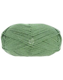 <span class="yarn-title">Meilenweit 100 Merino Extrafine Uni</span> <span class="yarn-color">2430 Resedagrün</span>