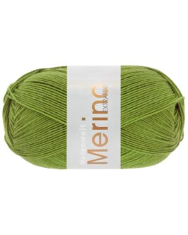<span class="yarn-title">Meilenweit 100 Merino Extrafine Uni</span> <span class="yarn-color">2450 Apfelgrün</span>