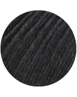 <span class="yarn-title">MEILENWEIT 100 SETA</span> <span class="yarn-color">15 Anthrazit</span>