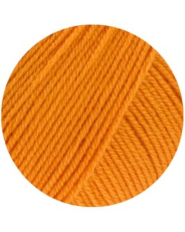 <span class="yarn-title">Merino Superiore</span> <span class="yarn-color">36 Orange</span>