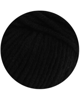 <span class="yarn-title">Mille II</span> <span class="yarn-color">15 Schwarz</span>