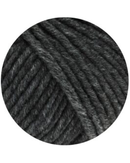 <span class="yarn-title">Mille II</span> <span class="yarn-color">16 Dunkelgrau Meliert</span>
