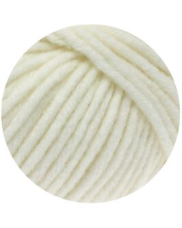 <span class="yarn-title">Mille II</span> <span class="yarn-color">17 Rohweiß</span>