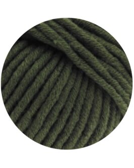 <span class="yarn-title">Mille II</span> <span class="yarn-color">80 Loden</span>