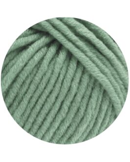 <span class="yarn-title">Mille II</span> <span class="yarn-color">116 Graugrün</span>