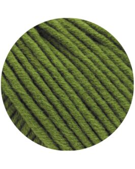 <span class="yarn-title">Mille II</span> <span class="yarn-color">147 Grasgrün</span>