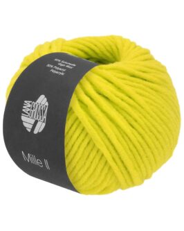 <span class="yarn-title">Mille II</span> <span class="yarn-color">163 Neongrün</span>