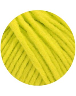 <span class="yarn-title">Mille II</span> <span class="yarn-color">163 Neongrün</span>