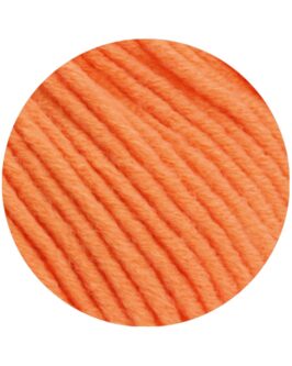 <span class="yarn-title">Mille II</span> <span class="yarn-color">164 Lachsorange</span>