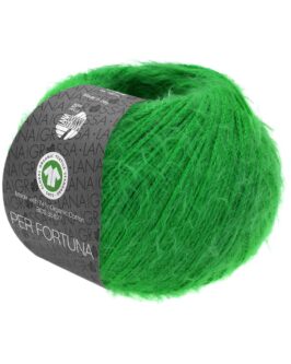 <span class="yarn-title">Per Fortuna GOTS</span> <span class="yarn-color">47 Jadegrün</span>