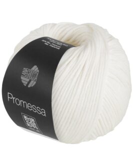 <span class="yarn-title">Promessa</span> <span class="yarn-color">13 Weiß</span>