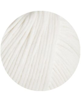 <span class="yarn-title">Promessa</span> <span class="yarn-color">13 Weiß</span>