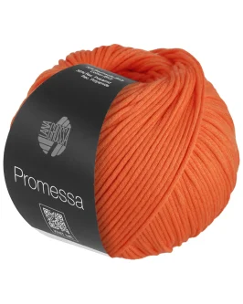 <span class="yarn-title">Promessa</span> <span class="yarn-color">30 Kürbis</span>