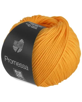 <span class="yarn-title">Promessa</span> <span class="yarn-color">31 Maisgelb</span>