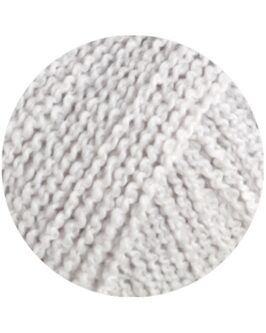 <span class="yarn-title">Riccio</span> <span class="yarn-color">2 Lichtgrau</span>