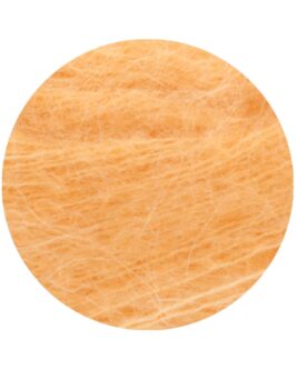 <span class="yarn-title">Setasuri</span> <span class="yarn-color">48 Apricot</span>