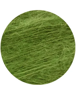 <span class="yarn-title">Setasuri</span> <span class="yarn-color">72 Apfelgrün</span>