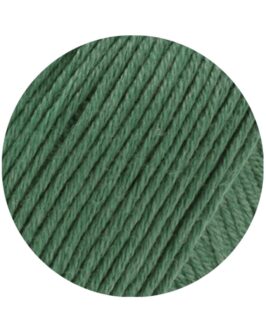 <span class="yarn-title">Soft Cotton Uni</span> <span class="yarn-color">37 Minzgrün</span>