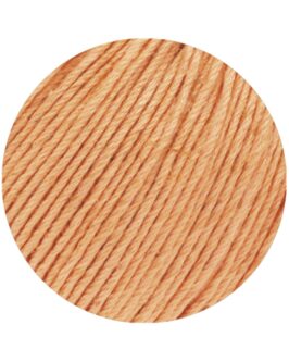 <span class="yarn-title">Solo Lino (Linea Pura)</span> <span class="yarn-color">33 Apricot</span>