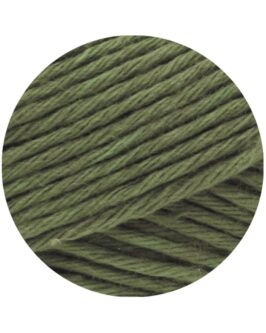 <span class="yarn-title">Star Uni</span> <span class="yarn-color">88 Lodengrün</span>