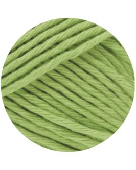 <span class="yarn-title">Star Uni</span> <span class="yarn-color">89 Erbsengrün</span>