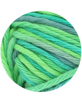 <span class="yarn-title">Star Print</span> <span class="yarn-color">324 Hellgrün/<wbr>Jade/<wbr>Graugrün</span>
