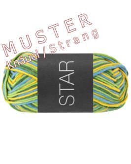 <span class="yarn-title">Star Print</span> <span class="yarn-color">324 Hellgrün/<wbr>Jade/<wbr>Graugrün</span>