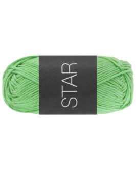 <span class="yarn-title">Star Uni</span> <span class="yarn-color">105 Helles Smaragd</span>