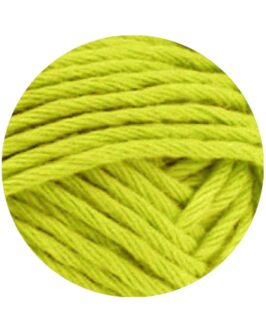 <span class="yarn-title">Star Uni</span> <span class="yarn-color">111 Limette</span>