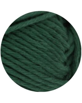 <span class="yarn-title">Star Uni</span> <span class="yarn-color">64 Tannengrün</span>