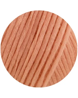 <span class="yarn-title">Summer Softness</span> <span class="yarn-color">5 Apricot</span>