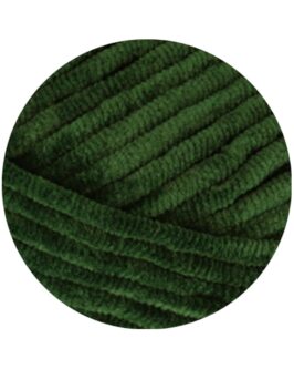 <span class="yarn-title">The Look</span> <span class="yarn-color">15 Flaschengrün</span>