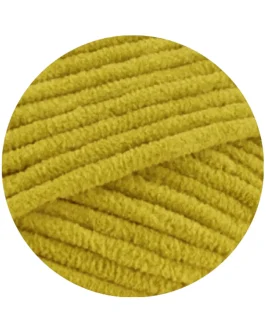 <span class="yarn-title">The Look</span> <span class="yarn-color">16 Limette</span>