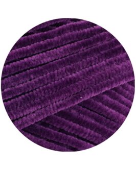 <span class="yarn-title">The Look Fine</span> <span class="yarn-color">111 Aubergine</span>