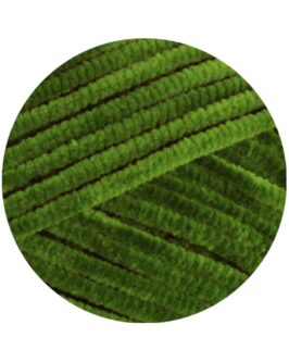 <span class="yarn-title">The Look Fine</span> <span class="yarn-color">120 Blattgrün</span>