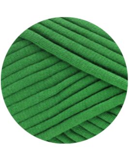<span class="yarn-title">The Tube</span> <span class="yarn-color">22 Maigrün</span>