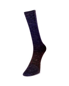 <span class="yarn-title">Watercolor Sock</span> <span class="yarn-color">106 Blau/<wbr>Lila/<wbr>Braun</span>