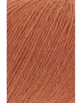 <span class="yarn-title">Alpaca Soxx 4-Fach</span> <span class="yarn-color">59 Orange Mélange</span>