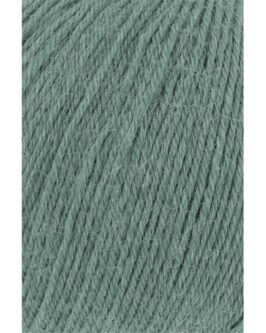 <span class="yarn-title">Alpaca Soxx 4-Fach</span> <span class="yarn-color">93 Efeu</span>