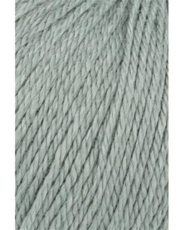 <span class="yarn-title">Liza</span> <span class="yarn-color">92 Salbei</span>