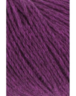 <span class="yarn-title">Yak</span> <span class="yarn-color">66 Fuchsia</span>