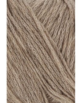 <span class="yarn-title">Vaya</span> <span class="yarn-color">26 Beige</span>